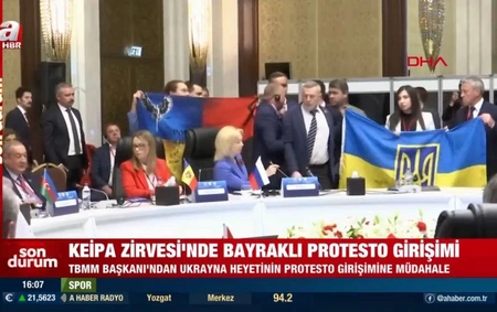 Украинцы сорвали выступление делегации РФ на саммите ПАЧЭС