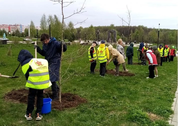 В Костромском парке Победы высадили молодые дубы в рамках Всероссийского проекта