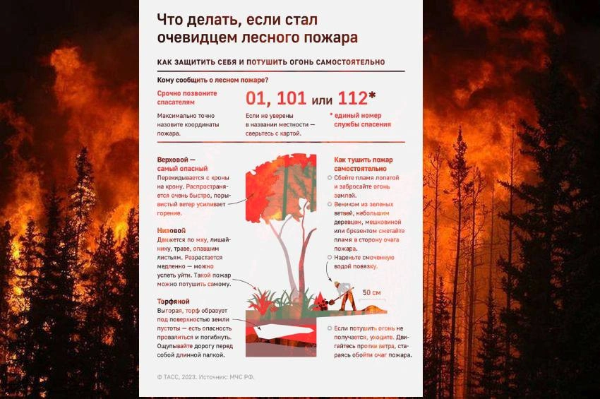 В Подмосковье ввели ограничение на пребывание граждан в лесах