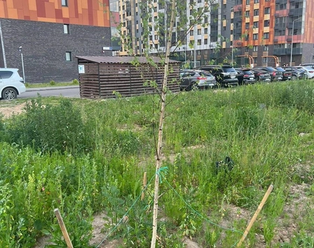 В Новой Москве найдено тело мертвого плода ребенка