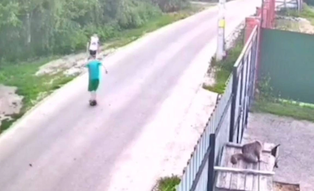 Двое детей из Подмосковья решили поиграть в футбол ёжиком