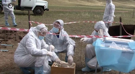 В Туве обнаружен новый случай заражения сибирской язвой