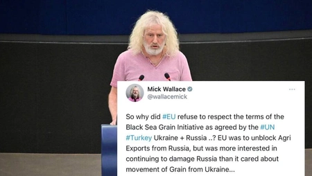 Депутат из Европарламента рассказал о мотивах зерновой сделки