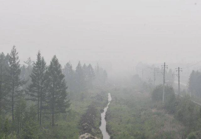 Дым от лесных пожаров накрывает Амурскую область и Хабаровск
