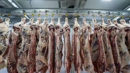 В Воронежской области выявили продукцию с сибирской язвой