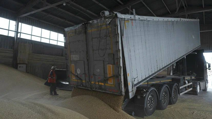 Россия готовит новое соглашение взамен зерновой сделке вместе с Турцией и Катаром