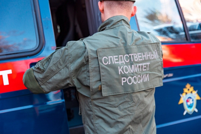 Житель Омской области убил двух своих сыновей и брата жены