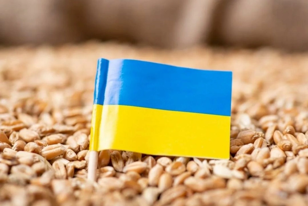 ЕК не стала продлевать запрет на импорт зерна из Украины