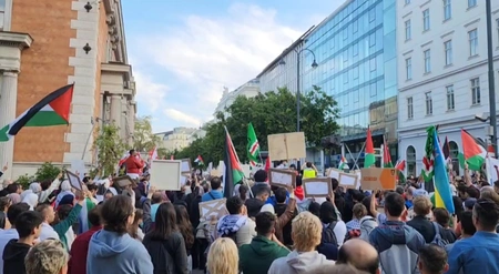 В Австрии начались митинги в поддержку Палестины