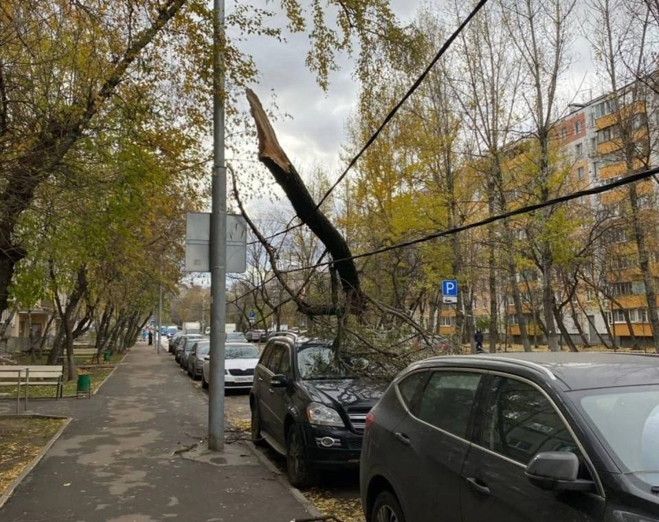 Москвичам не рекомендовано выходить на улицу из-за урагана