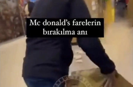 Мужчина выпустил мышей в турецком ресторане McDonalds