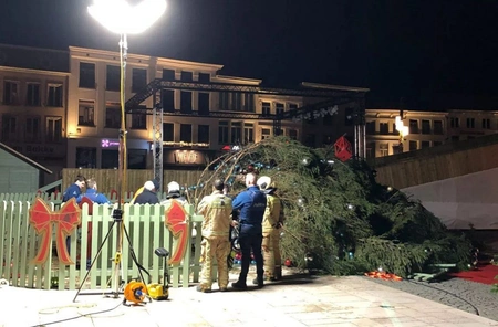 В Бельгии из-за рождественской елки погибла женщина