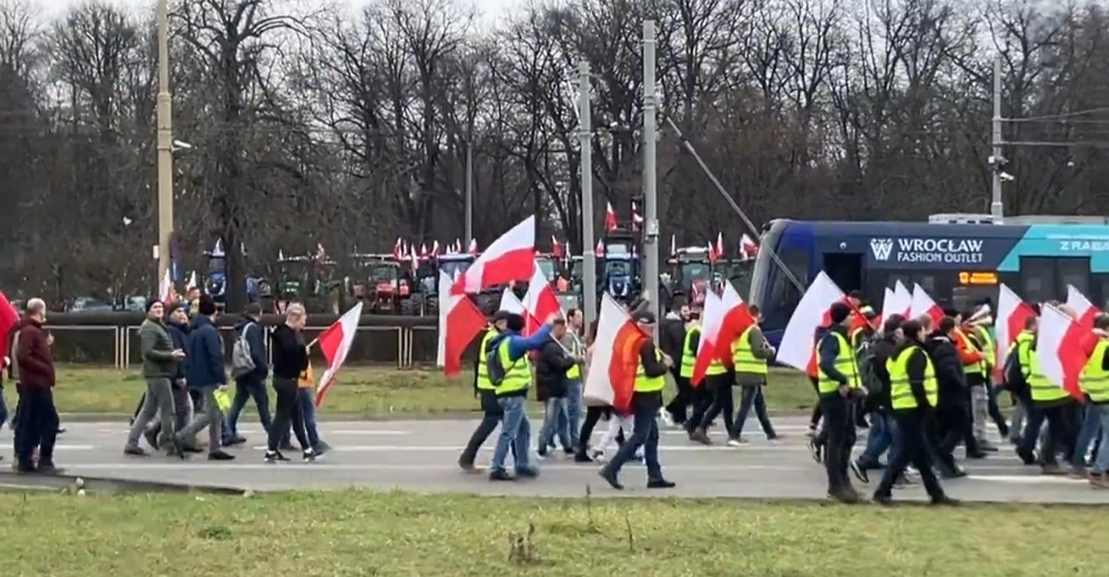 В Польше фермеры потребовали закрыть границу с Украиной из-за импорта зерна