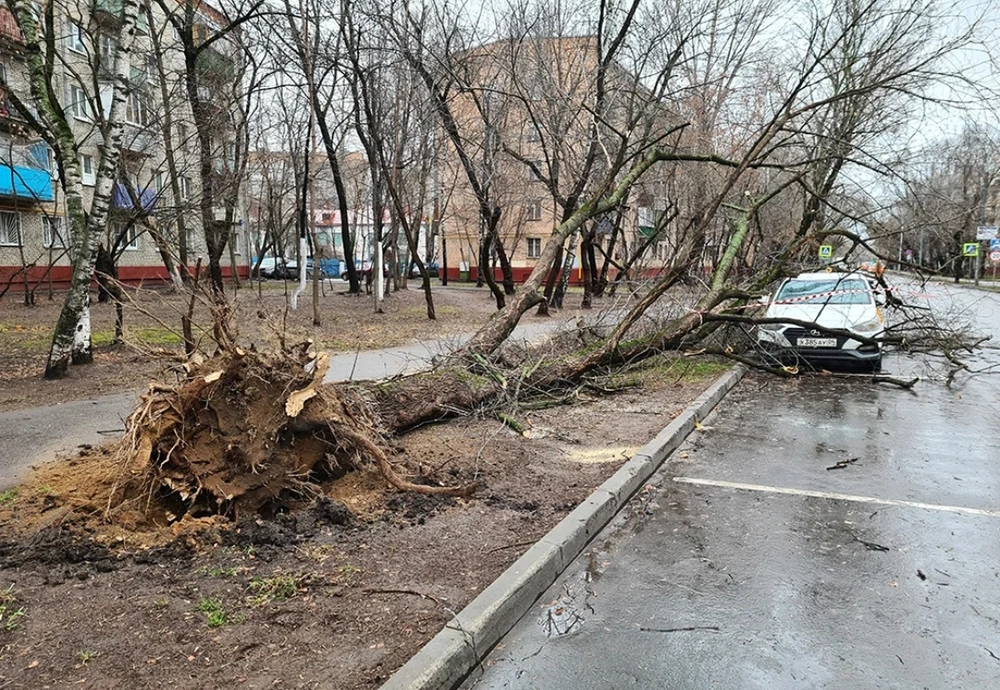 В результате непогоды в Москве пострадали несколько человек