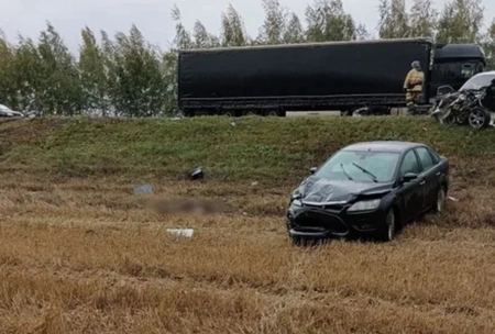 В Рязанской области в ДТП погибли восемь человек