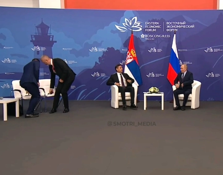 Владимир Путин провёл встречу с премьером Сербии
