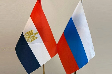 Глава МИД Египта прилетит в РФ с рабочим визитом