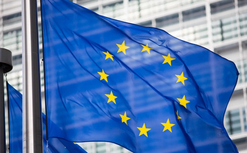 В Европарламенте прокомментировали решение правительства Грузии по ЕС