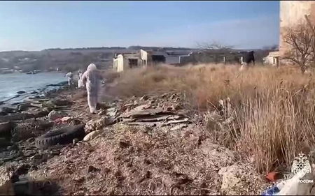 В Крыму все пляжи полностью очистили от мазута