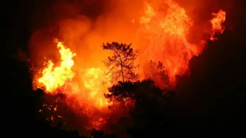 Лесные пожары охватили окрестности Измира и угрожают курортам Турции 