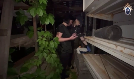 Подростку, напавшего с молотком в Подмосковье на двух девочек, предъявили обвинение в покушении на убийство