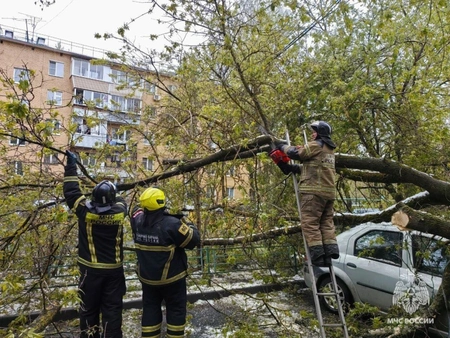 Москву и Подмосковье накрыло ливнями и грозами 